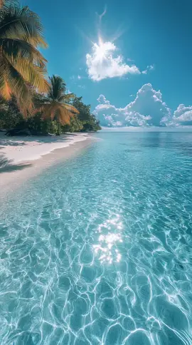 ☀️ Crystal clear waters, palm tree paradise, and sunshine dreams 🌴✨ Who’s ready to teleport here right now? 🏝💙 #VacationGoals  #ParadiseVibes  #BeachLife  #OceanLovers  #TravelGoals 