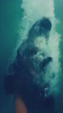 i’m crying 😭 #viral #beyonce 