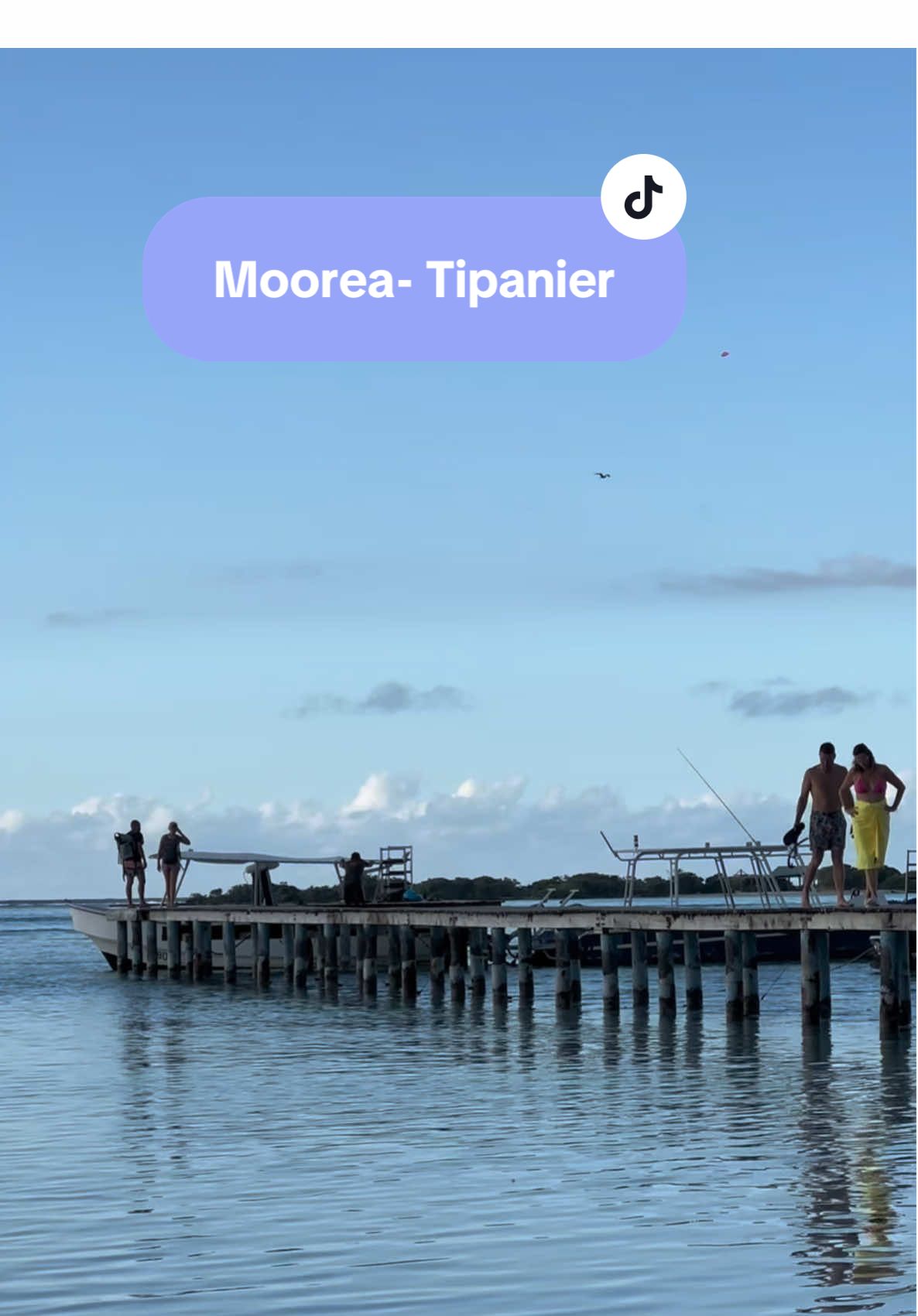 Fin de journée à Moorea, au Tipanier. Même si le coucher de soleil n’était pas vraiment au rendez-vous, il y avait de la beauté dans l’air. #moorea #goodvibes #fyp #tiktoktahiti #plage 