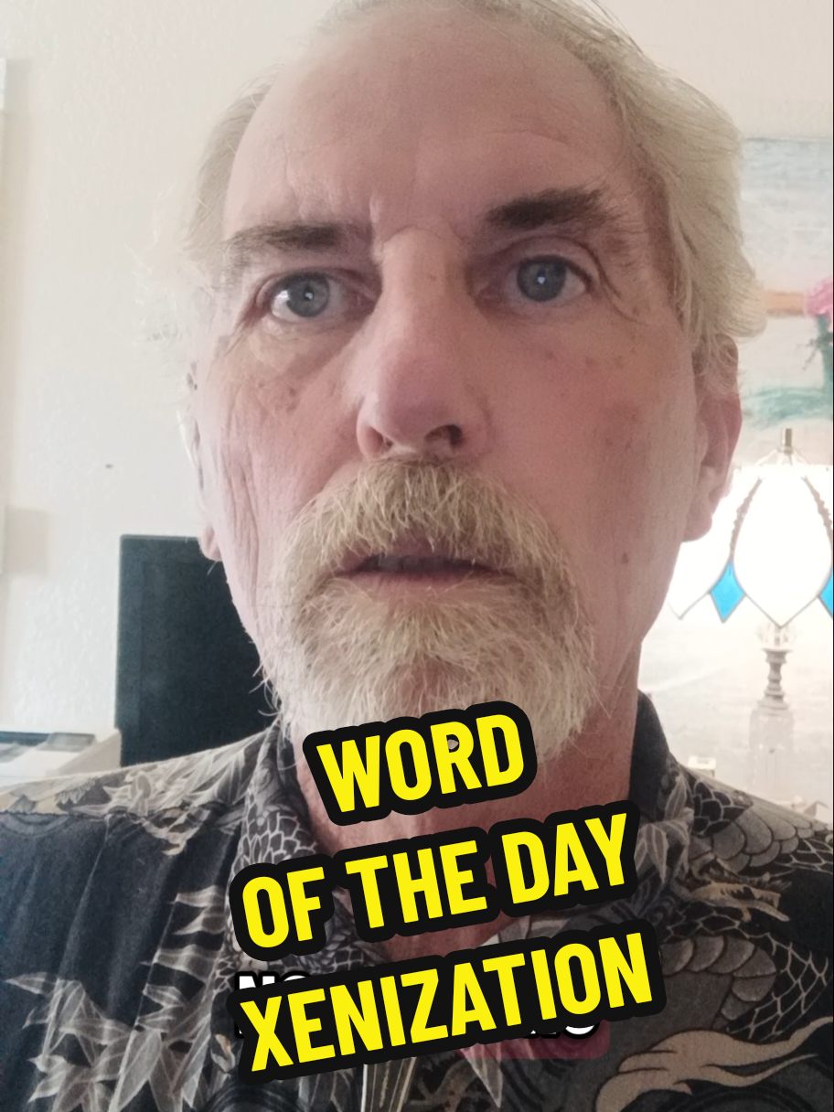 Word of the Day: XENIZATION  #xenization #wordoftheday #tiktokwriter #travelvibes #strangerintown 