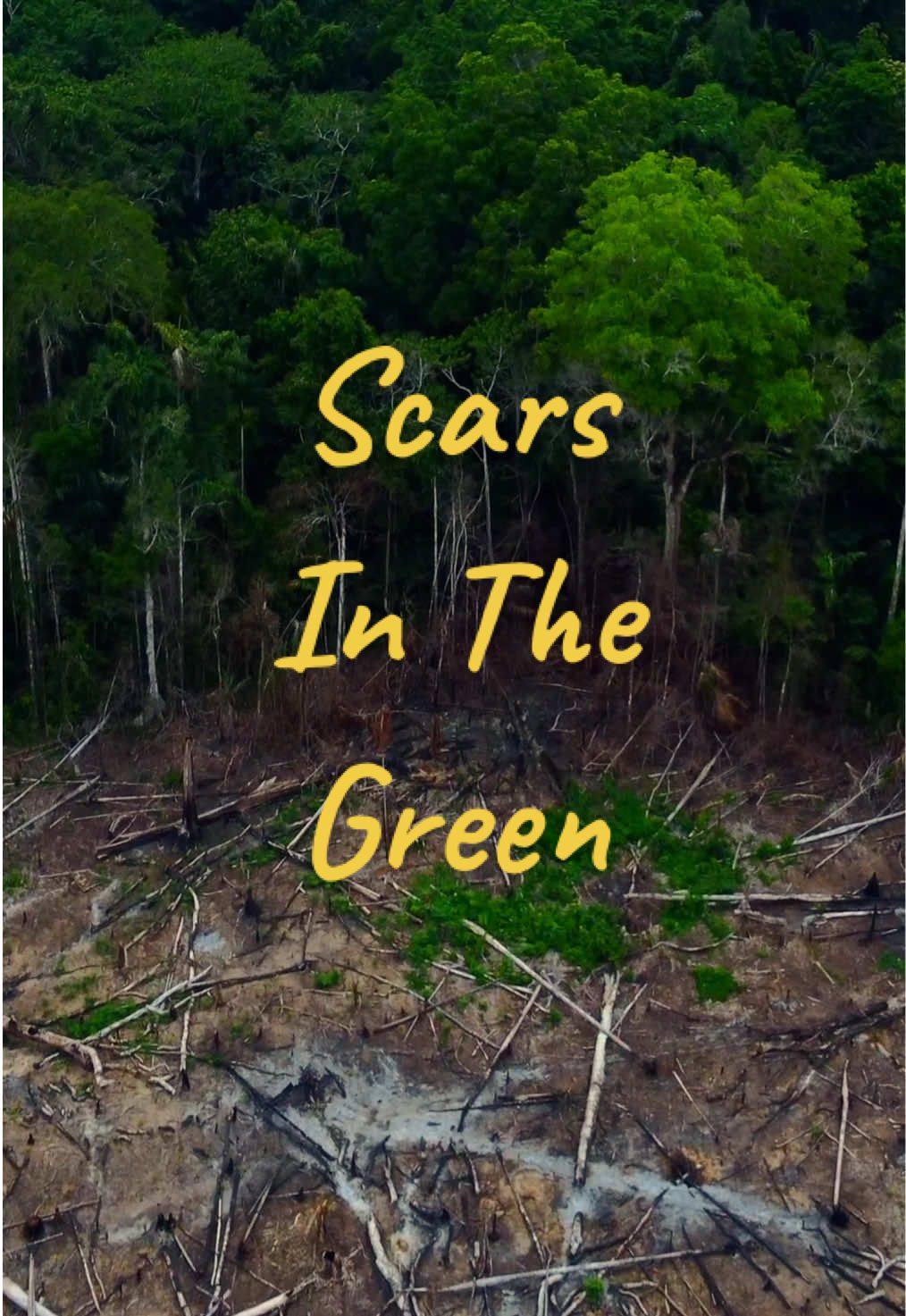 The Amazon wears our progress as wounds that may never heal. . . 🌎 #SaveTheAmazon #Deforestation #ClimateCrisis #ActNow #peru🇵🇪 