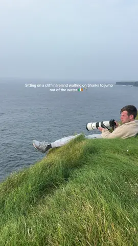 How is this Ireland 🤯🦈🇮🇪 Follow for more wildlife encounters around Ireland 