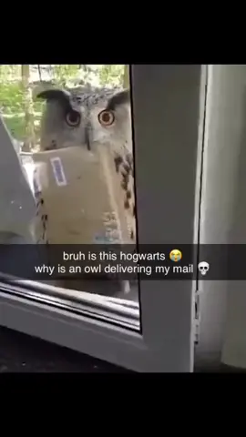 #meme #memes #foryou #fyp #fypシ 