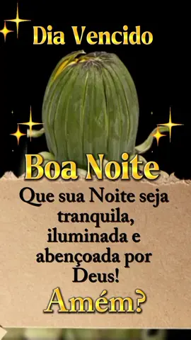#boanoite #noite #noiteabençoada #mensagemdeboanoite  . . . . . #vaiprofycaramba 