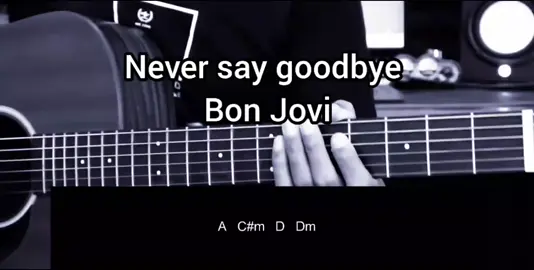 Never say goodbye - BonJovi #instrument #chordgitar #liriklagu #covergitar #music 