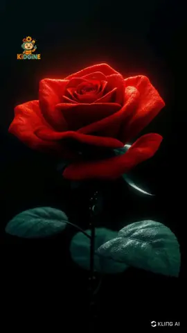 Cute kittens #CapCut #catlover #kitten#cat #fyp 