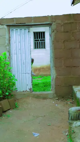 #kaduna #1millionaudition #nijeriennetiktok🇳🇪🇳🇪🇳🇪 #dansholicomedy #kannywood #trending #fannyvideo #viralshorts 