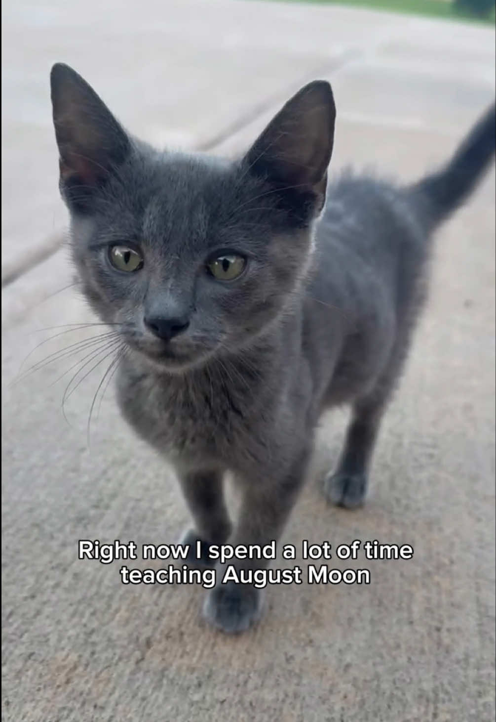 Not being able to use my voice is a scary feeling. That’s the not so fun reality of your voice being how you make a living. But August Moon is keeping me company while I let it heal. Thank you for being so understanding, my hope is high that these pipes will be back to what they should be soon.