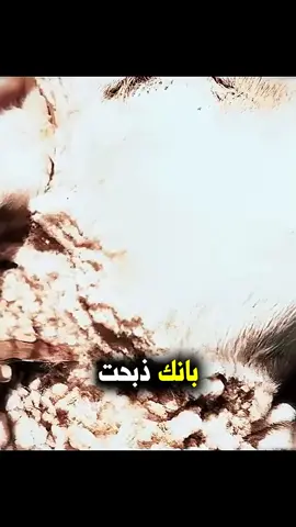 كيف تكاثرنا وليش احجام البشر تصغر؟ حقوق النشر وفق ترخيص ( المشاع الإبداعي ) من حساب المبدع [@anas__action] جزاه الله خيرا #قصص_واقعية #قصص_من_التاريخ👑 #قصص_حقيقيه #قصص_الصحابة #قصص_الأنبياء_والصحابة  #انس_اكشن #تصميمك_عنا #قصص_الأنبياء #حساب_ديني #رمزيات_دينيه  #مقاطع_دينية_مؤثرة #دينيه #صور_دينيه #ديني #دينيات #تصاميم_دينيه #مقاطع_دينيه  #دينية #الأنبياء #خلفيات_دينية