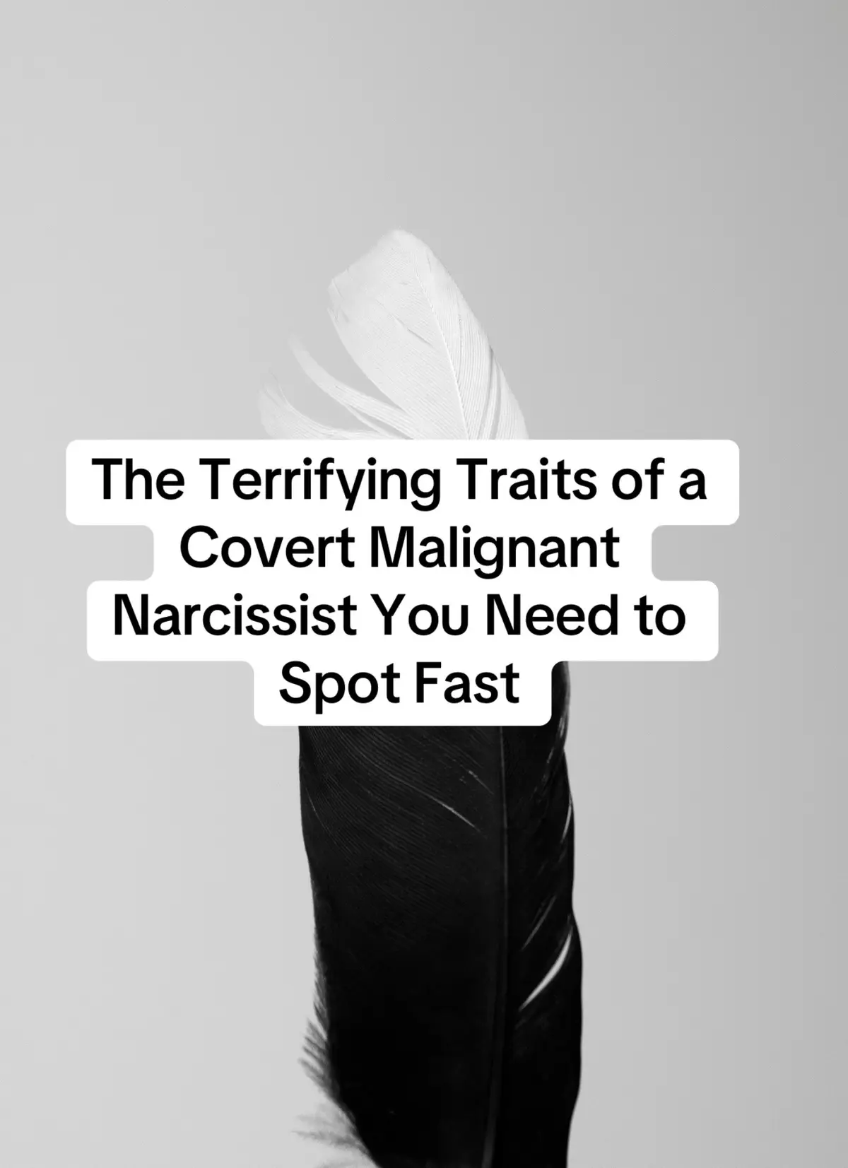 A covert malignant narcissist is far more dangerous than they first appear because their cruelty is cloaked in charm, false humility, and calculated victimhood. By the time their true nature surfaces, they’ve often already isolated, discredited, and emotionally weakened their target. Recognizing these subtle but chilling signs early is the key to protecting yourself. The sooner you spot the patterns, the sooner you can step out of their web and reclaim your clarity, boundaries,  and peace. #creatorsearchinsights #NarcissistAbuse #npd #narcissist #narcissistsurvivor 