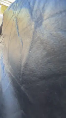 hết năm cái làm tiép chuyến nữa liền