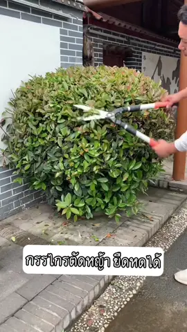 กรรไกรแต่งกิ่งไม้ ✂️มีน้ำหนักเบาราคาหลักร้อย 🌳#กรรไกรตัดแต่งกิ่งไม้ #งานสวน #กรรไกรตัดกิ่ง #ของใช้ในบ้าน #ของใช้ 