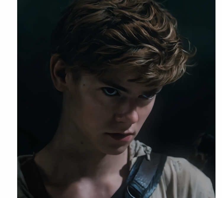 ⨳ || [ #NEWT ] — I might make a Minho version later ||  #TMR #THEMAZERUNNEREDIT #THOMASBRODIESANGSTER #NEWTEDIT — @dazai @rachelll🤧 @﹒тωιηкℓєтσєѕ﹢˚ @𝙻𝚒𝚣 ☽｡⋆ @「 ✦ 𝖠𝖾𝗅𝗂𝗑 𖥂 」 @Skate @‧₊˚ uzi / zi ☆ @❥ @rumiqvs @Penelope 