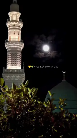 #ينادي فؤادي بليل السكون #اناشيد  #بك_يا_الله_تطمئن_الروح_وتبتسم #عبارات_دينية📖 #مجرد_ذووقツ   