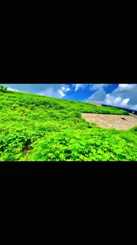 #কালাবিলাই # #foryou #foryou #foryou 