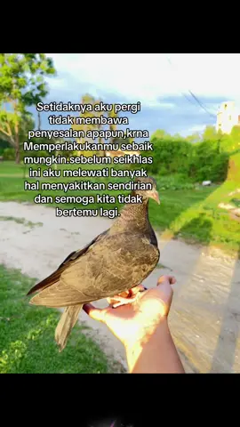 #fypシ #lewatberanda #foryoupage #foryoupage #harisnugraha #caption #soundviral 