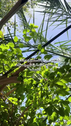 ننسى الازمات ولاكن لا ننسى وقفه احدهم حينها…ولن ننسى يد امتدد بالعون ويد امنتعت بخذلان 🤍