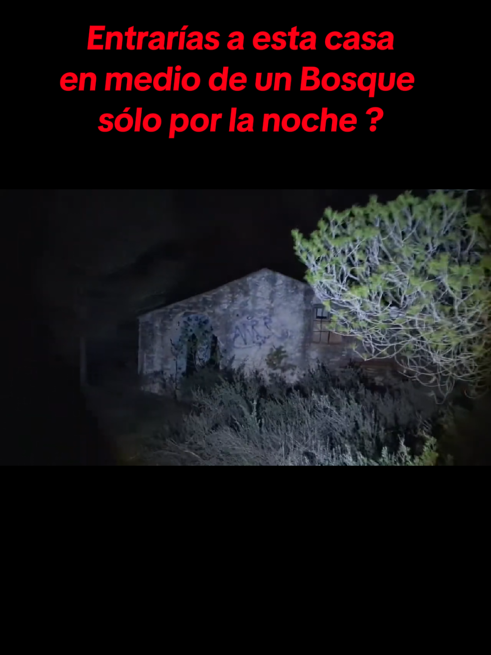 Explorando un bosque sólo por la noche  Aterrador  #paranormal #urbex #tanjininja #horrortiktok #tiktokhorror 