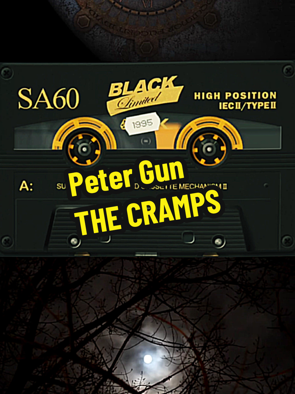 The Cramps  - Peter Gun  #rock #fypp #fy #fyp #foryoupage❤️❤️  The Cramps foi uma banda norte-americana formada em 1976, conhecida por criar um som único que misturava rockabilly, punk rock e elementos de horror, gênero que eles mesmos apelidaram de “psychobilly”. Liderados pelo carismático vocalista Lux Interior e pela guitarrista Poison Ivy, o grupo desenvolveu uma estética marcada por letras irreverentes, referências à cultura trash, filmes de terror B e um visual retrô e provocador. Com apresentações intensas e teatralidade exagerada, The Cramps se tornaram uma influência cult no cenário alternativo, ajudando a moldar o imaginário do rock underground das décadas de 1980 e 1990.