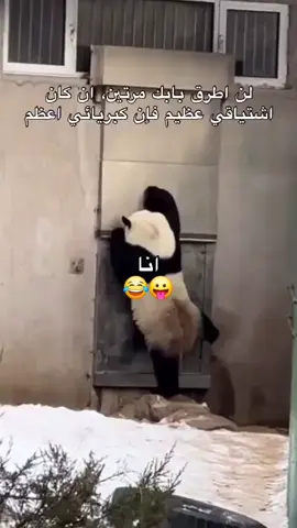 #الشعب_الصيني_ماله_حل😂😂 #تصميم_فيديوهات🎶🎤🎬 #لحظة_ادراك #mood #capcut_edit 