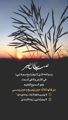 #في هذا اليوم 