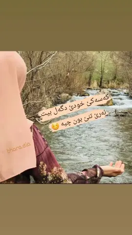 #في هذا اليوم 