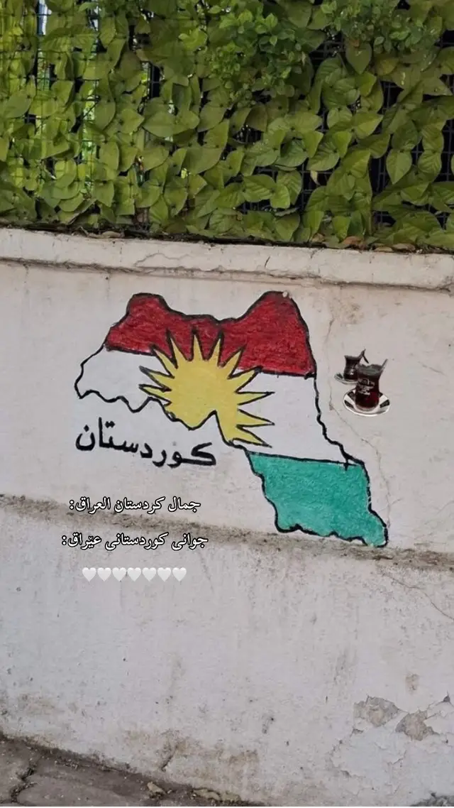 كوردستانى🤍#شعب_الصيني_ماله_حل😂😂 #شعب_الصيني_ماله_حل😂😂 #شعب_الصيني_ماله_حل😂😂 #شعب_الصيني_ماله_حل😂😂 