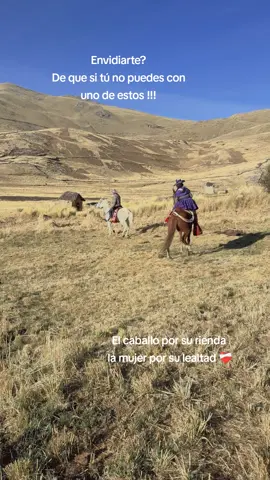 #quiñota_chumvibilcas♥️ #luzlizoviedo #chumbivilcas_cusco_peru♥️ #dslelike♥️ #love🐎🐎🐎❤️❤️❤️ 
