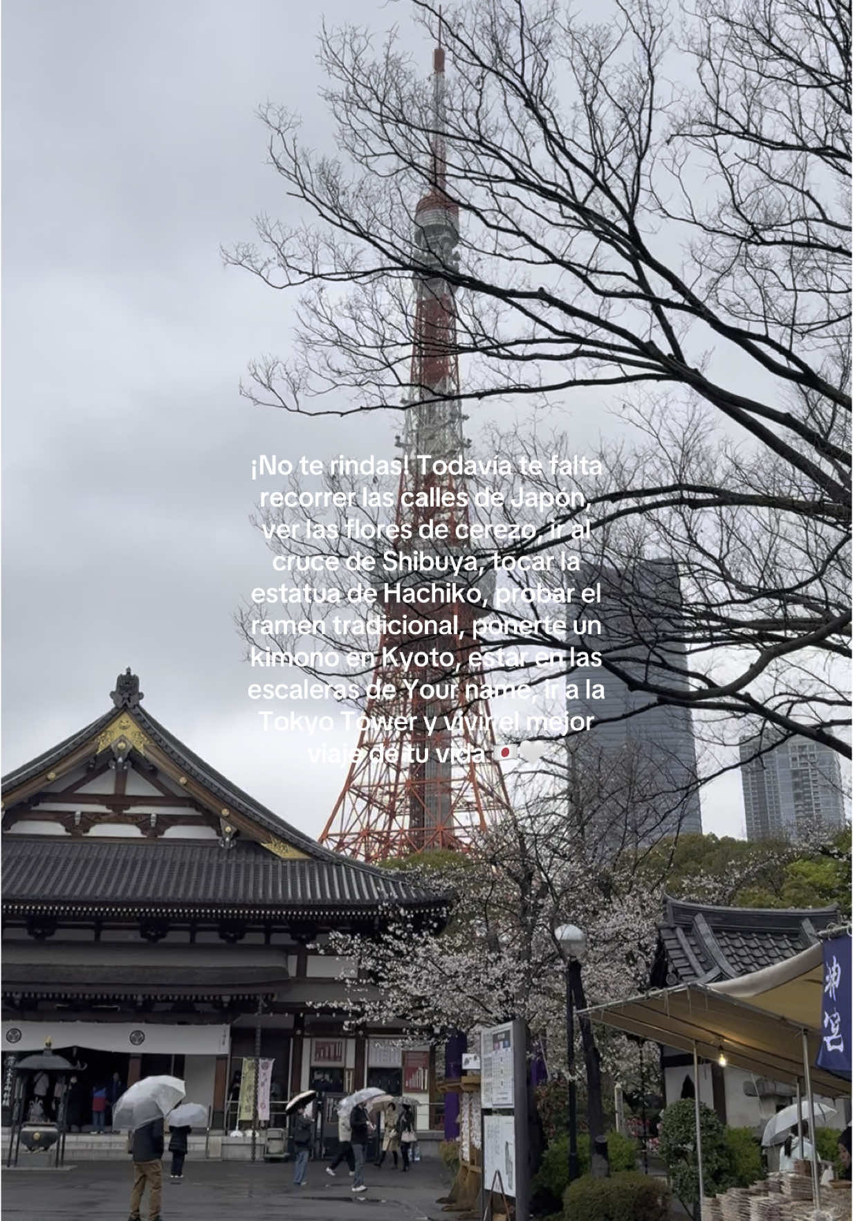 No se van a arrepentir 💘 #japan #travel #japon #japanese #tokyo #yourname #parati #anime #adridk_ #fyp 