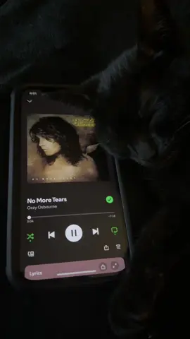 #nomoretears #ozzyosbourne #blackcat #ozzyosbourneforever #ozzyosbournefans 