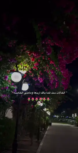 🩷🩷🩷🩷 #fyppppppppppppppppppppppp #فولو_لايك_اكسبلوررر🤍 #تصاميم_فيديوهات🎵🎤🎬 #بنغازي_ليبيا🇱🇾 #مالي_خلق_احط_هاشتاقات🦦 #الشعب_الصيني_ماله_حل😂😂🏃🏻‍♀️ 