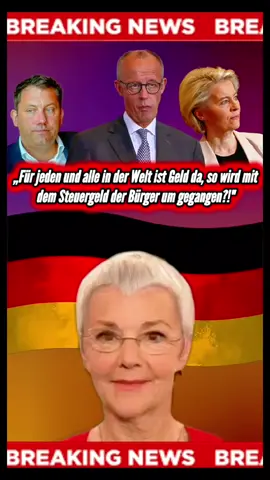 #AfD #SPD #CDU #EU  #deutschland🇩🇪 