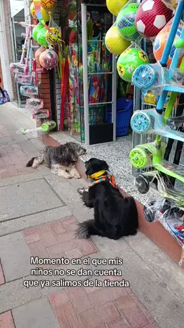 ellos ordenaditos muy juiciosos esperando afuera 😍 #hijosperrunos 