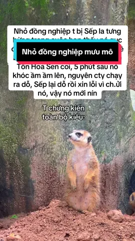 Vậy cũng được hả, chiêu thức này gọi là gì? #GreenCreator #VinWonders #WonderSummer2025 #dulich #safari 