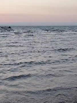 #الوايلي_بلدنااا 