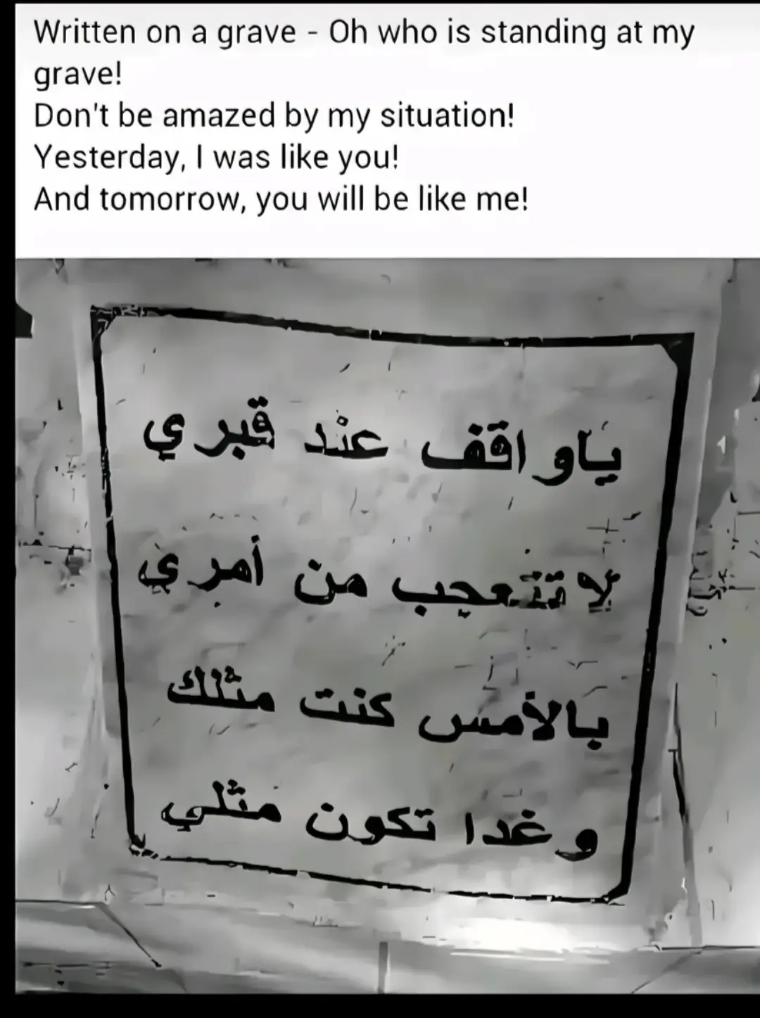 . . . . . . . . . .     . . . . #موكب_شهيد_الجمعة_الحسني  #الحمدالله_علی_کل_حال❤  #مجرد_ذووقツ🖤🎼  #ياعلي  #كربلاء 