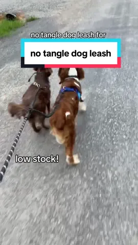 No more leash chaos, just smooth strolls 🐾✨ The Iyoshop No-Tangle Dog Leash keeps every walk tangle-free so you can focus on what really matters—sniffs, tail wags, and quality time with your pup. 🐶💛 Perfect for adventures big or small! 🚶‍♀️🌳 #Iyoshop #DogLeash #NoTangleLeash #DogWalks #HappyPup @iYoShop US 