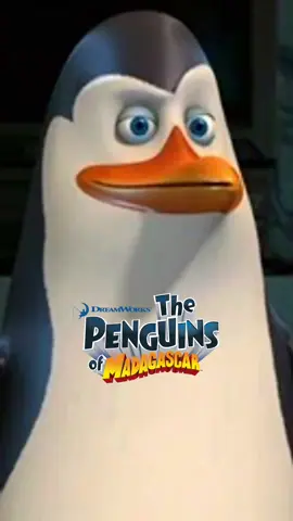 The Pinguins of Madagaskar in Real Life  #pixverse #pixverseai #thepinguinsofmadagascar #madagascar #viral 