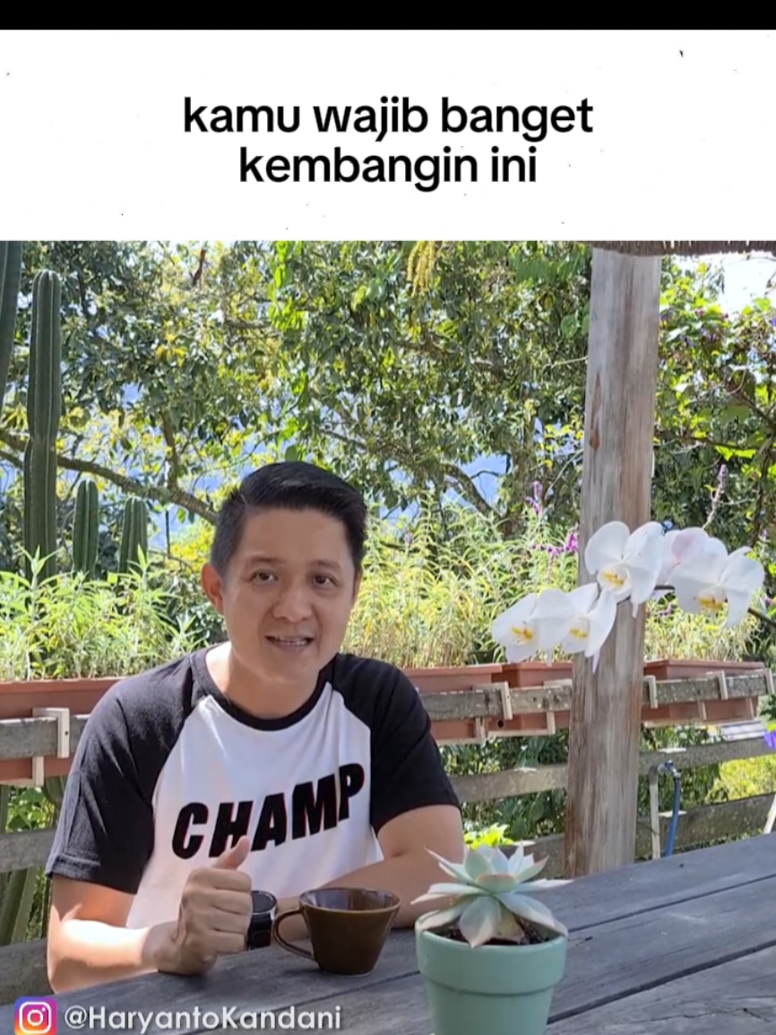 Kembangin ini kalau mau meningkat #haryantokandani #motivasiharyanto #motivasi 