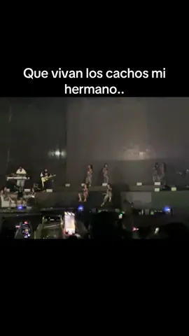 Si te pillara #beelearequipa #beele 