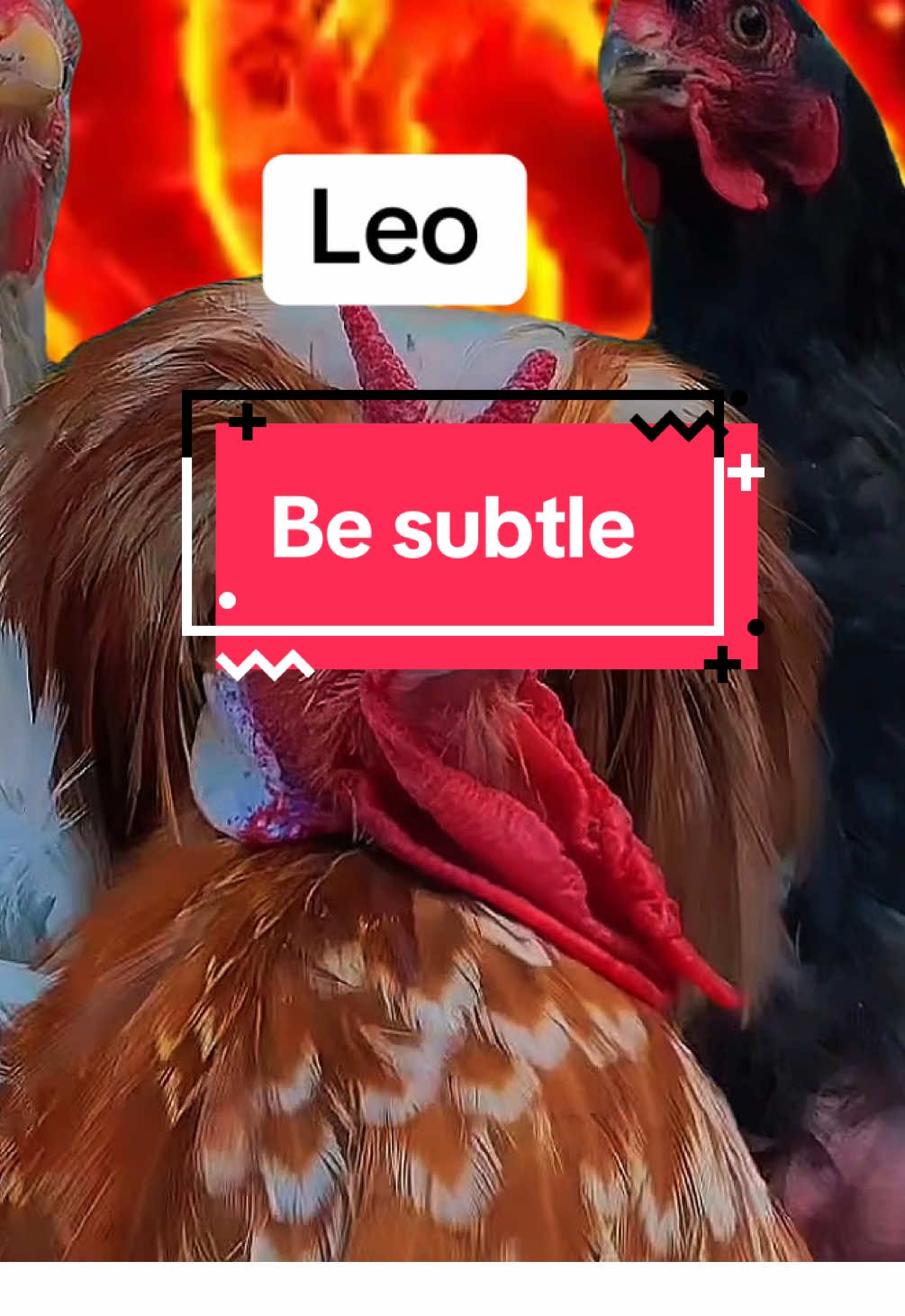 🔥 Fire signs when someone says “be subtle” 😏 Aries, Leo & Sag… we literally don’t know her. #F#FireSignsA#AriesL#LeoS#SagittariusA#AstrologyHumorZ#ZodiacMemesA#AstroTokZ#ZodiacSignsS#StarSignHumorC#CosmicEnergyA#AstrologyTikTokZ#ZodiacVibesF#FireSignEnergyA#AstrologyLifeA#AstrologyComedyZ#ZodiacTokS#StarSignTokZ#ZodiacHumorE#ElementEnergyAstrologySquad