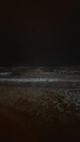 #شاطئ_الدهاريز                                                     #صلاله 