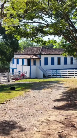 Uma linda Fazenda na região rural de Doresópolis MG, lugar de muitas fazendas antigas de Pains a Doresópolis,  logo quero voltar lá!!!  #Fazenda  #agro  #roça  #vidanaroça 