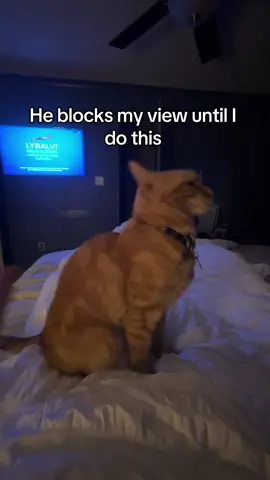 The worst discovery