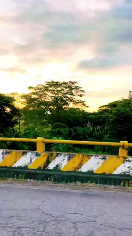 #videoviral #llano #llanoscolombianos #llanoinmenso #llanosvenezolanos #atardecerllanero 