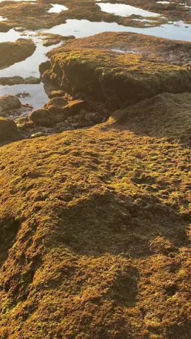 😍 #fyp #beach #sulubanbeachbali 