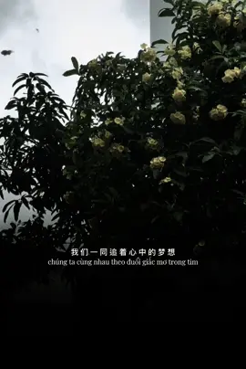 #CapCut Là Anh #tramdung1293 #nhachaymoingay #music 