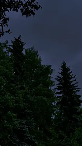 The loneliness came back  #darkaesthetic #nature #calming #relax #darkcore 