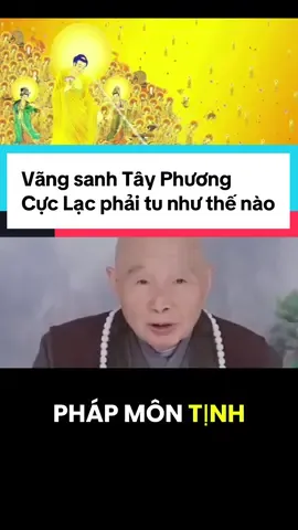 A DI ĐÀ PHẬT #nammoadidaphat #tayphuongcuclac #adidaphat #phapsutinhkhong #tinhkhongphapsu 