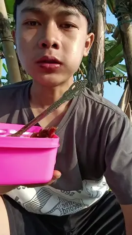 makan di tengah sawah cees 😋😋 #fypシ゚ #foryou #xybca #mukbang #fyp 